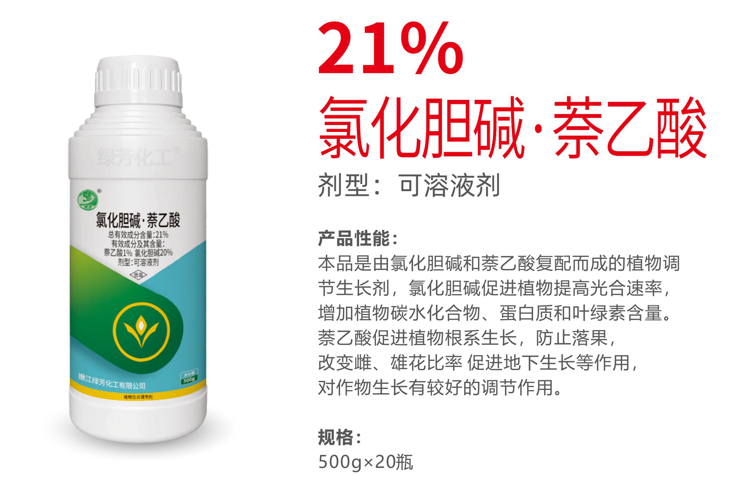 1765348540930479.jpg 17-17.jpg