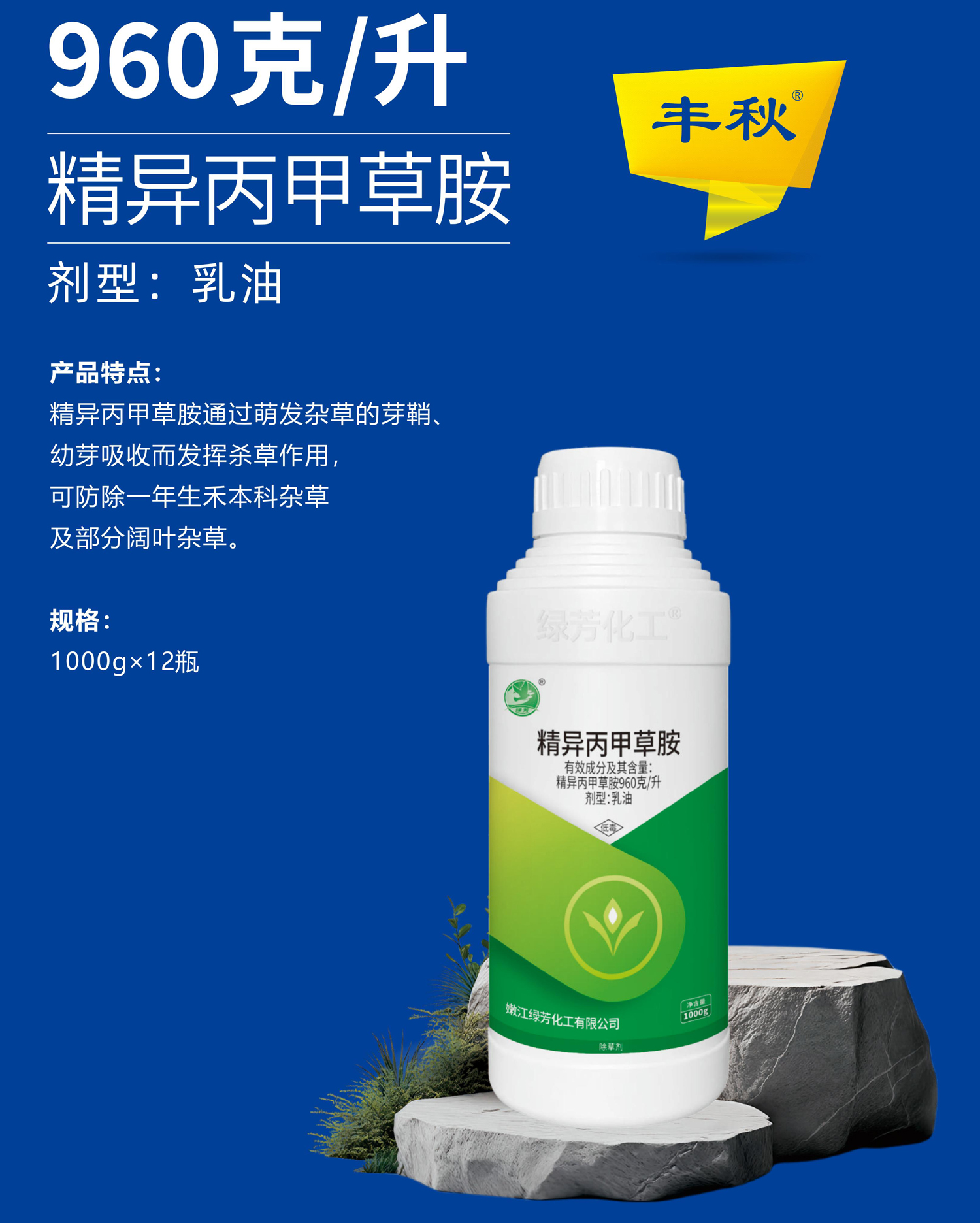 1765509915710390.jpg 41-41.jpg